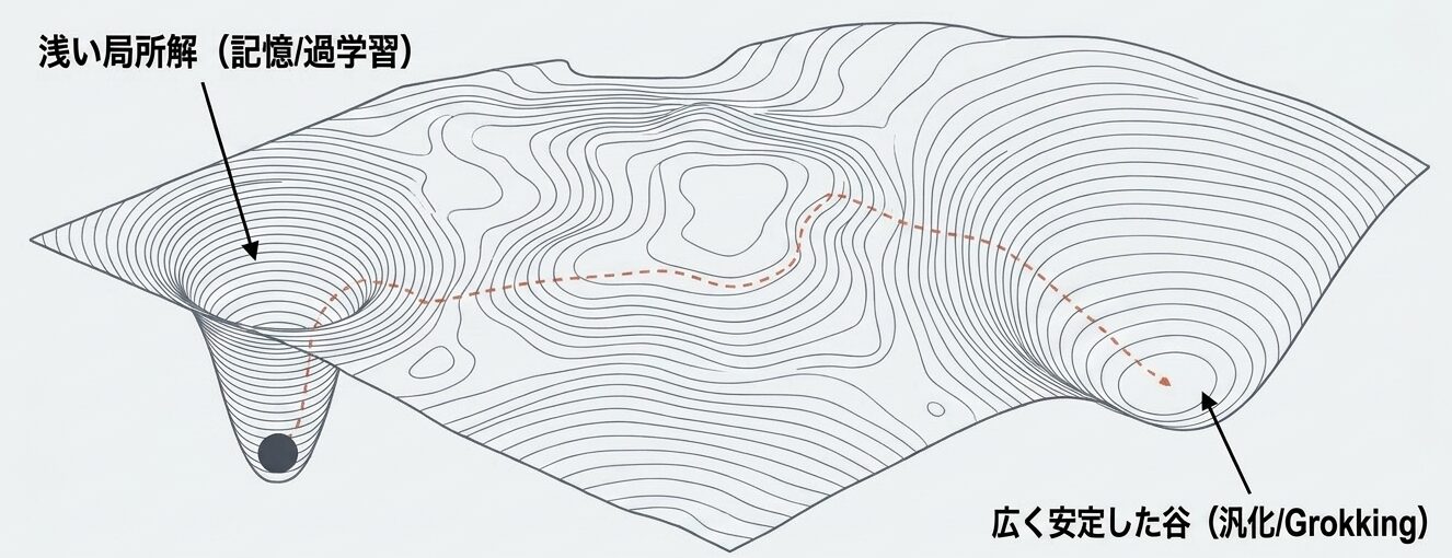 The_Grokking_Paradox_-_Slide_8